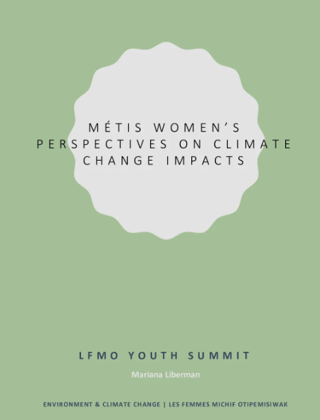 Title Page of LFMO Report on environment